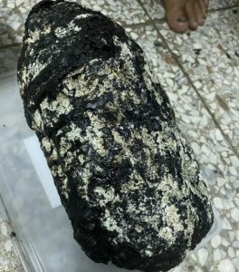 Απίστευτο.Ψαράς στην Taiwan βρήκε μυστηριώδη αρωματική πέτρα αξίας 6 εκατομμυρίων (USD)- PHOTO